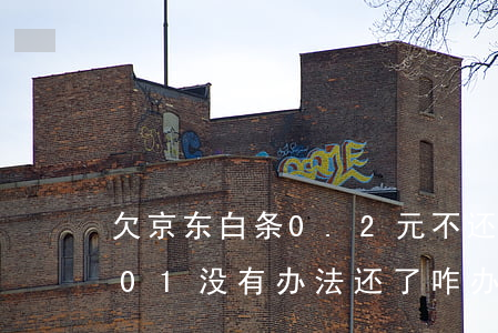 欠京东白条0.2元不还(京东白条欠了0.01没有办法还了咋办)