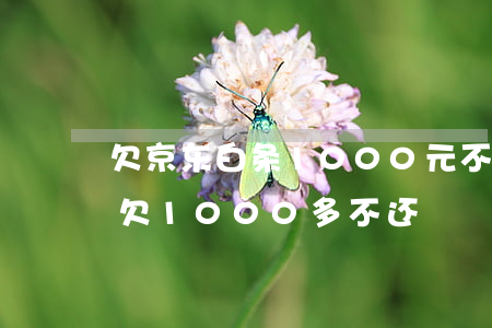 欠京东白条1000元不还会怎样(京东白条欠1000多不还)