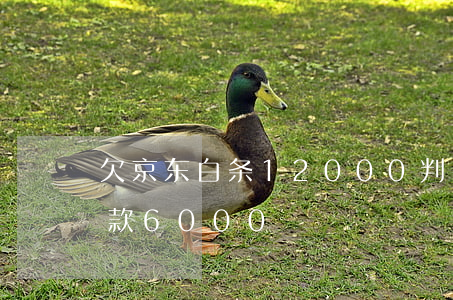欠京东白条12000判多少天(京东白条欠款6000)