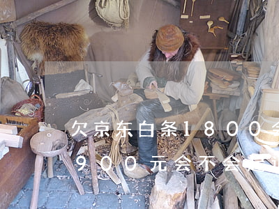 欠京东白条1800会被起诉吗(京东白条欠900元会不会起诉我)
