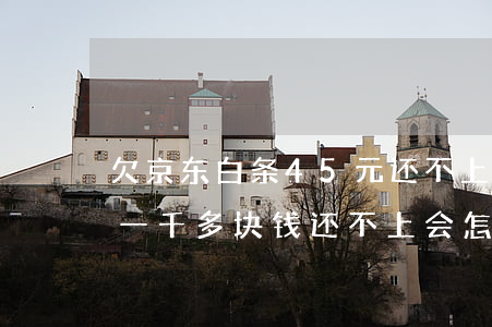 欠京东白条45元还不上怎么办(欠京东白条一千多块钱还不上会怎么样?)