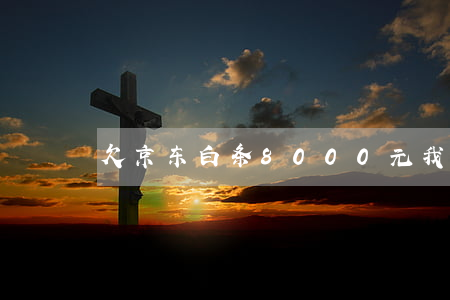 欠京东白条8000元(我欠京东白条六千多)