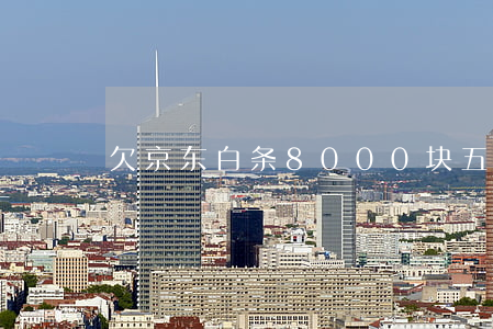欠京东白条8000块五年了