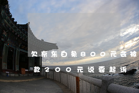 欠京东白条800元会被起诉吗(京东白条欠款200元说要起诉)