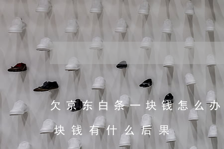 欠京东白条一块钱怎么办(京东白条欠两千多块钱有什么后果)