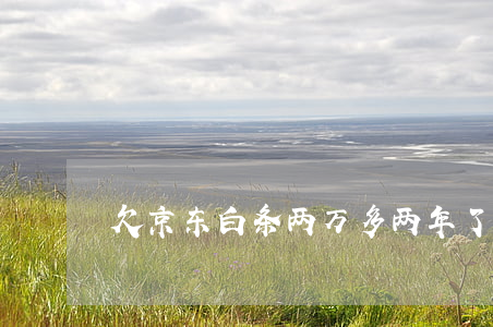 欠京东白条两万多两年了(京东白条欠款2年)