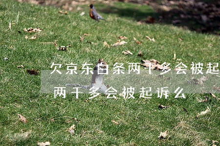 欠京东白条两千多会被起诉吗(京东白条欠款两千多会被起诉么)