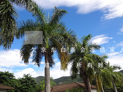 欠京东白条会冻结家人账户吗(京东白条不还冻结名下所有账号是真的吗)
