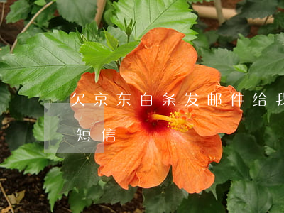 欠京东白条发邮件给我(京东白条欠款天天发短信)