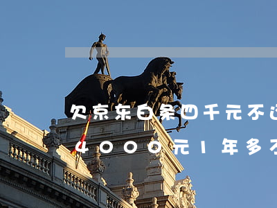 欠京东白条四千元不还会怎么样(欠京东白条4000元1年多不还会怎么样)