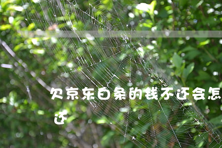 欠京东白条的钱不还会怎样(京东白条欠了不还)
