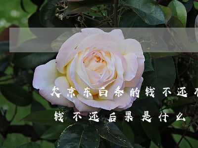 欠京东白条的钱不还有什么后果(京东白条借钱不还后果是什么)