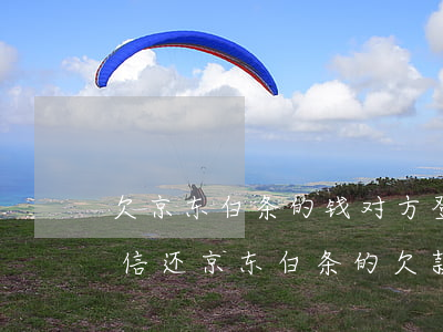 欠京东白条的钱对方登录我微信了(怎样用微信还京东白条的欠款)