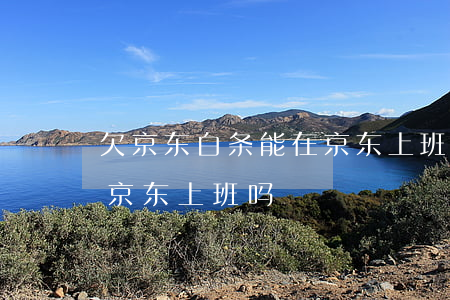 欠京东白条能在京东上班么(欠白条钱可以去京东上班吗)