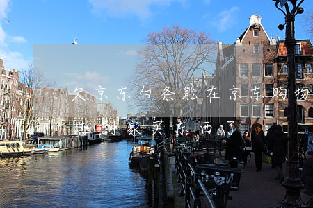 欠京东白条能在京东购物(京东白条不能在京东到家买东西了)