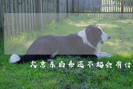 欠京东白条还不起会有什么后果-