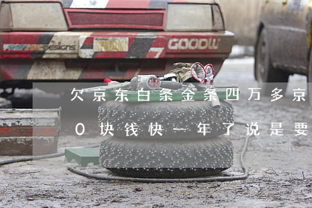欠京东白条金条四万多(京东白条欠了3000块钱快一年了说是要来抓我)