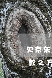 欠京东白条金条好几万没还(京东白条金条欠款2万元会坐牢吗)