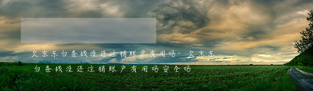 欠京东白条钱没还注销账户有用吗-欠京东白条钱没还注销账户有用吗安全吗