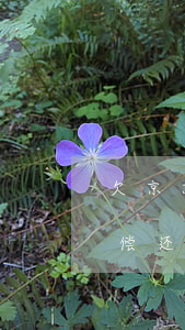 欠京东网贷无力偿还了怎么办(欠了网贷 无力偿还)