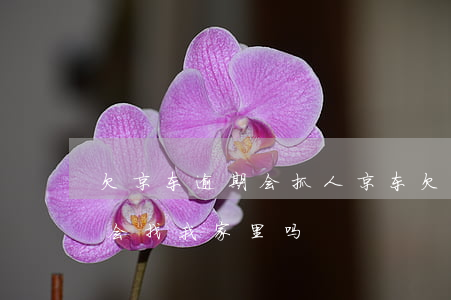 欠京东逾期会抓人(京东欠了2000逾期了会找我家里吗?)