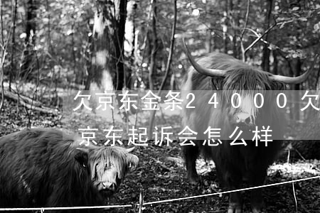 欠京东金条24000(欠京东金条一万多被京东起诉会怎么样)