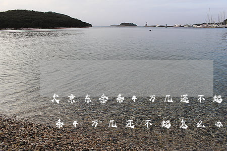 欠京东金条4万几还不起怎么办-欠京东金条4万几还不起怎么办