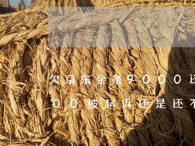 欠京东金条9000还不上(京东金条欠1000被起诉还是还不上会怎样)