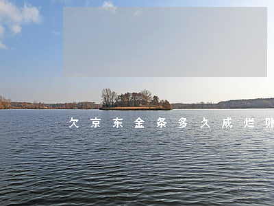 欠京东金条多久成烂账
