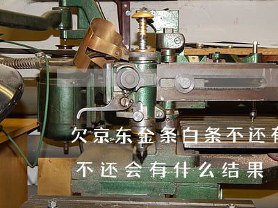 欠京东金条白条不还有什么后果(欠京东白条不还会有什么结果)