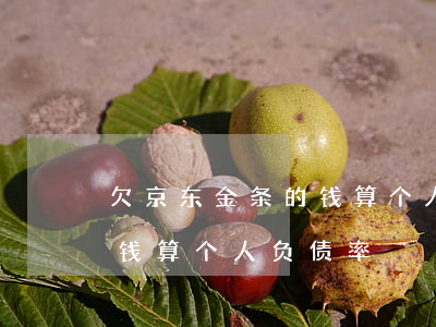 欠京东金条的钱算个人负债率(欠京东金条的钱算个人负债率)