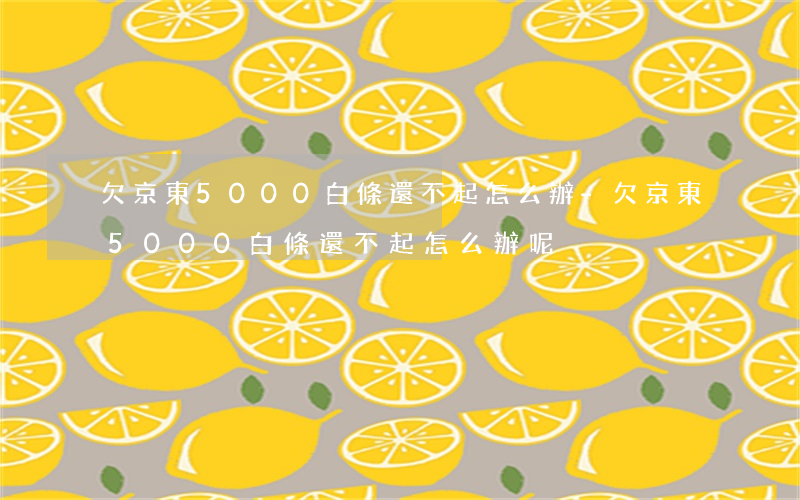 欠京東5000白條還不起怎么辦-欠京東5000白條還不起怎么辦呢