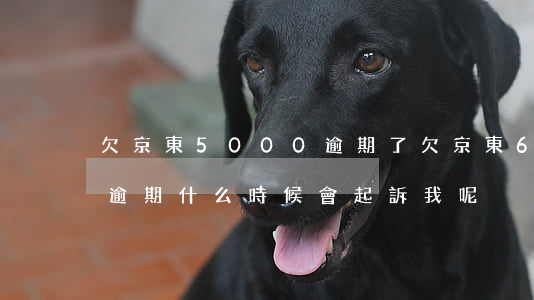 欠京東5000逾期了 欠京東6000塊錢逾期什么時候會起訴我呢