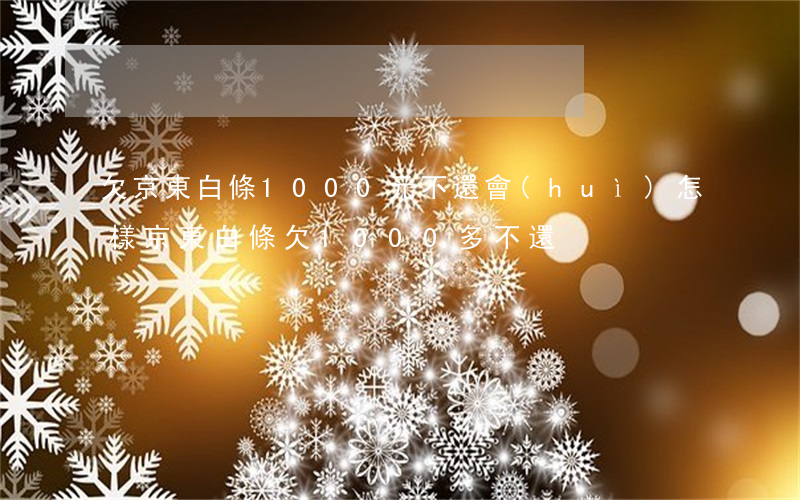 欠京東白條1000元不還會(huì)怎樣(京東白條欠1000多不還)