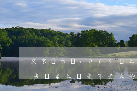 欠京東白條1000說上門(京東白條欠1萬多說要上門是不是真的)