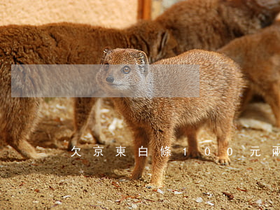 欠京東白條100元兩個月沒還-
