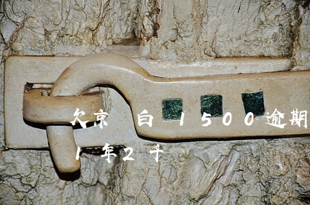 欠京東白條1500逾期一年(京東白條逾期1年2千)