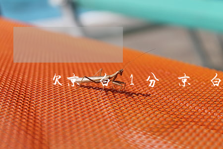 欠京東白條1分錢(京東白條欠一毛錢沒還)