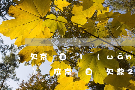 欠京東白條1萬(wàn)一年來(lái)單位(京東白條欠款2年)