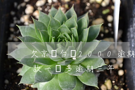 欠京東白條2000逾期20天(京東白條欠款一萬多逾期三年)
