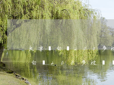 欠京東白條200多被訴訟怎么辦-欠京東白條200多被訴訟怎么辦呢