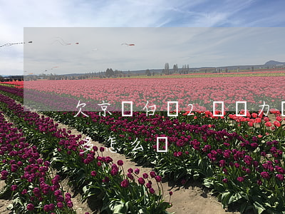 欠京東白條2萬無力償還(京東白條欠了一萬多怎么辦)