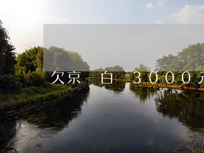 欠京東白條3000元(欠京東白條一千塊)
