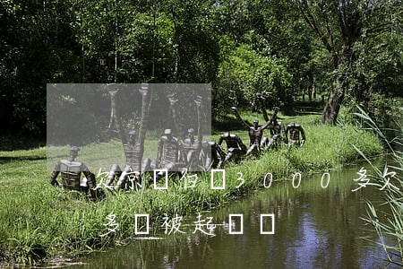 欠京東白條3000多(欠京東白條3000多會被起訴嗎)