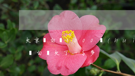 欠京東白條3000會(huì)怎么樣(京東白條欠了一千多)