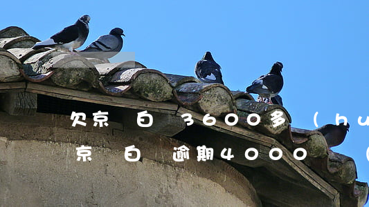 欠京東白條3600多會(huì)被起訴(京東白條逾期4000塊錢(qián),多久會(huì)被起訴)