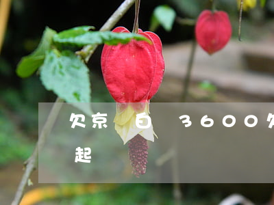 欠京東白條3600(欠京東白條5000被起訴)