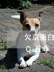 欠京東白條4500半年(京東白條欠2000五年沒還)