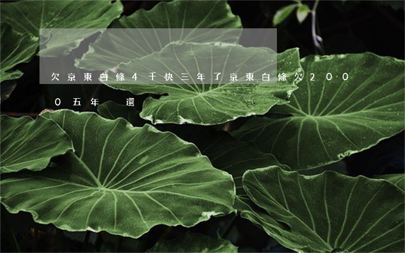 欠京東白條4千快三年了(京東白條欠2000五年沒還)