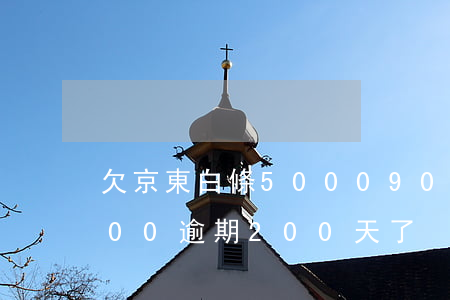 欠京東白條 5000 90天(京東白條欠8000逾期200天了)